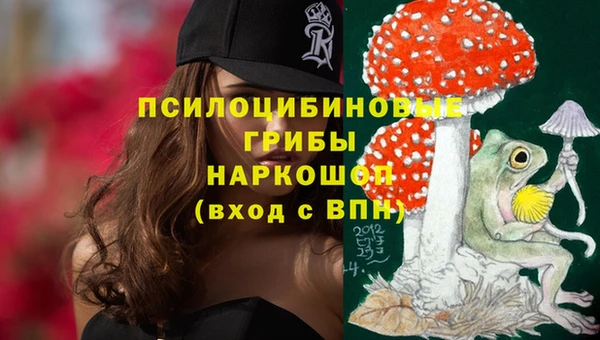 первитин Дмитриев