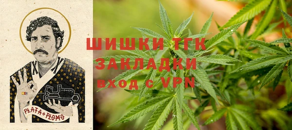 ПСИЛОЦИБИНОВЫЕ ГРИБЫ Дмитровск