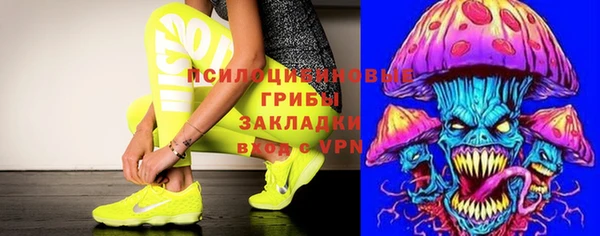 ПСИЛОЦИБИНОВЫЕ ГРИБЫ Дмитровск